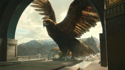 Categoria:Raças (1,21 MB) E muitos outros!