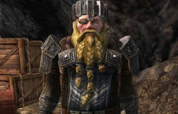 2007: The Lord of the Rings Online