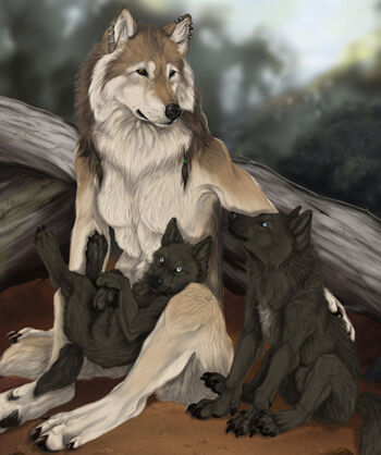 On vous dit tout sur les Loups-Garous : origines, caractéristiques