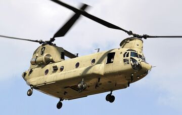 Toggi chinook online