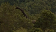 Brachiosaurus in the Triple Junction valley.