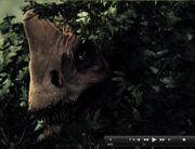 Clever Girl!.jpg