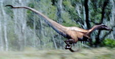 Nykoraptor4