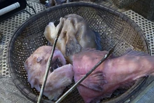 A basket of fish in the market