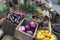 Terra Nova fruit and vegetables4.jpg