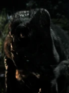 Female Slasher.jpg (172 KB) Female Slasher