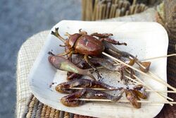 Terra Nova Market bugs & fish.jpg