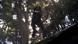 The Sixer in “Vs.”