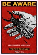 A promotional poster featuring a beetle