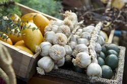 Terra Nova fruit and vegetables5.jpg