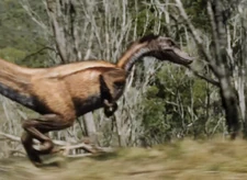 Nykoraptor2.png (913 KB)