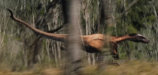 Nykoraptor3.png (496 KB)