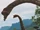 Brachiosaur