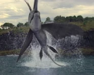 Swordfishproof2.jpg (133 KB)