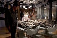 Jim, Taylor, Elisabeth and Malcolm with dead Gillers, Okuda and another soldier in “Instinct”