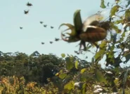 A swarm of horned beetles in the episode "Proof"