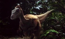 Raptor4.jpg (121 KB)