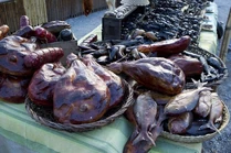 Items that seem odd and out of place at a market in 2149 can be found at the Terra Nova market.