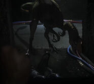 Ovosaurcables.jpg (83 KB)