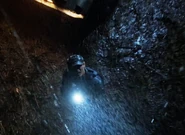 Gillers in “Instinct”