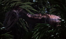 Raptor2.jpg (143 KB)