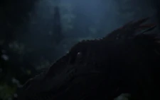 Nykohead.jpg (103 KB)