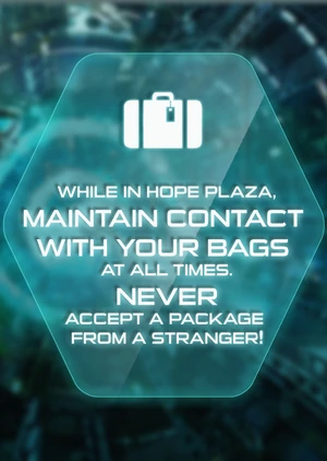 Hope Plaza bags