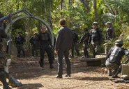 Portal Occupation.jpg (506 KB)