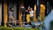 The Shannons painting their house