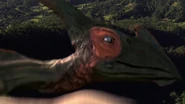Pterosaurswithin2.jpg (178 KB) From "Within"
