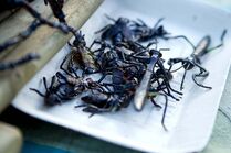 A plate of insects is available at the market.