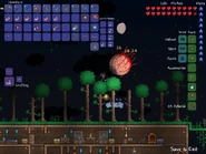 The {{PAGENAME}} not immune to fire.