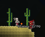 Mumie02