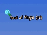 Soul of Flight