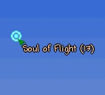 Flight of the Souls
