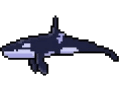 Orca (old)