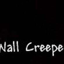 Terraria wall creeper clearance