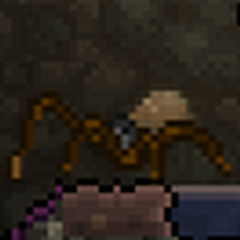 Terraria wall creeper clearance