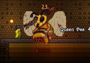 Queen Bee stuck in a wall.