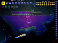 2015-10-30 00001.jpg (115 КБ) 2 сундука в одном тайнике