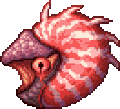 Nautilo sin tentáculos, posiblemente no usado