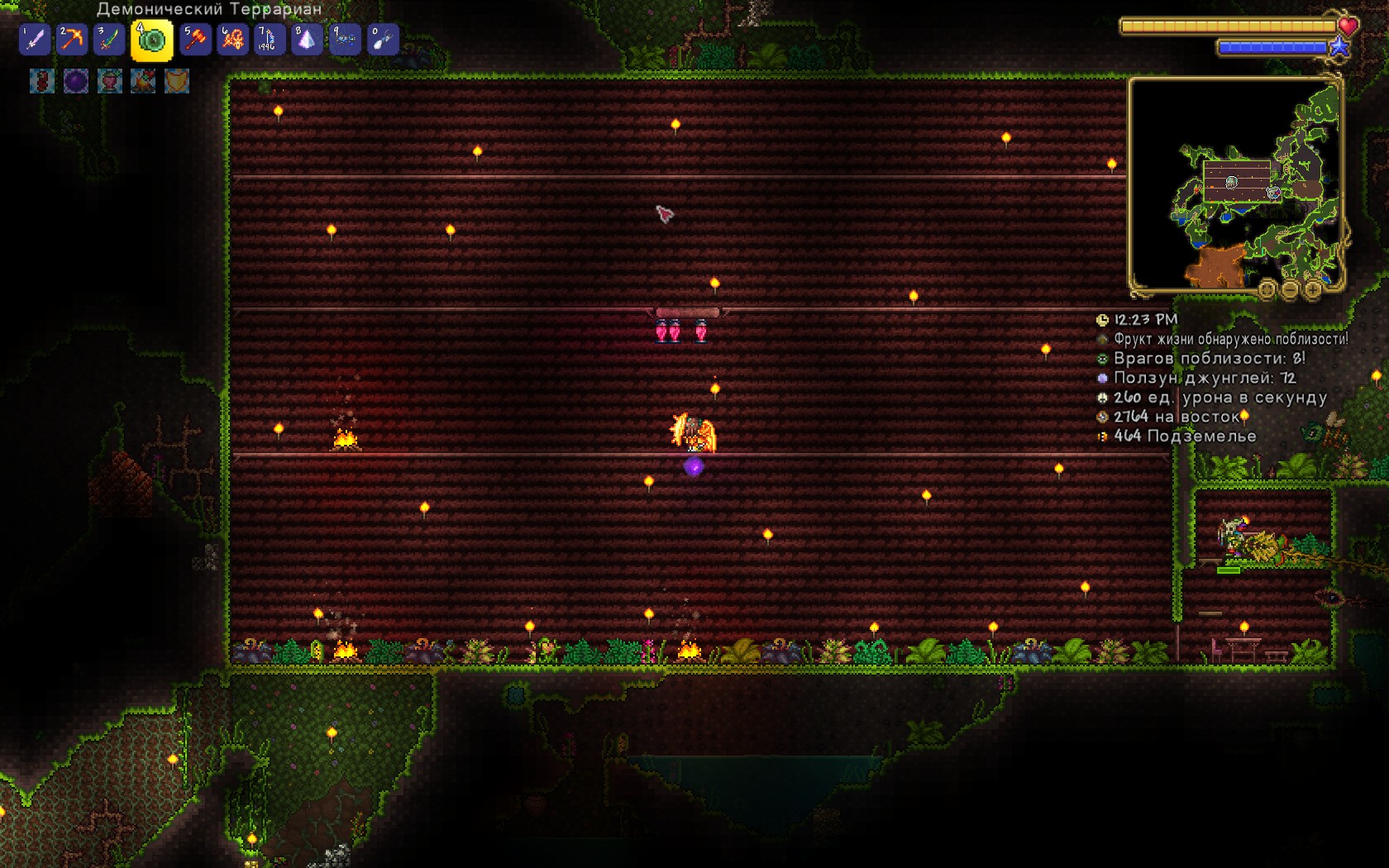 Plantera bulb in terraria фото 101