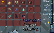 SWAT helmet in chest