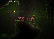 Terraria Heart Crystals.jpg (64 KB) Two heart crystals right next to each other.