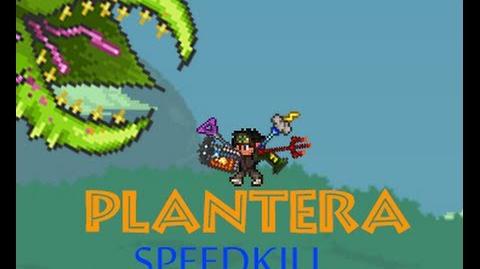 Plantera Boss - Speedkill (Mage)