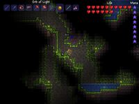Terraria environment underground jungle