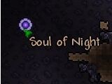 Soul of Night