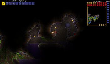 Underground Jungle Terraria Wiki Fandom