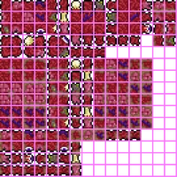 Blok Ploti Terrariya Viki Fandom