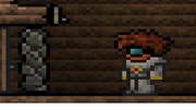 Terraria Active Stone Door